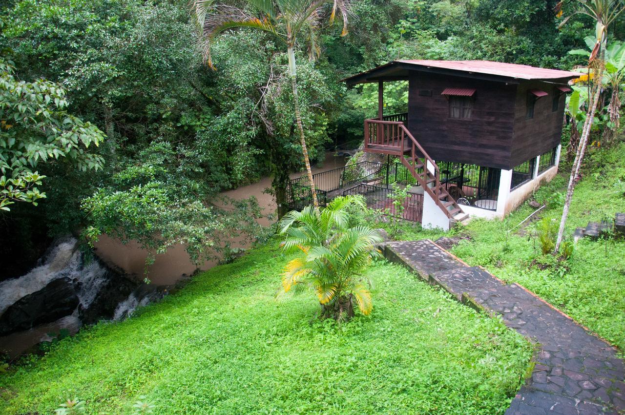 Mamallena Eco Lodge La Laguna de San Carlos Δωμάτιο φωτογραφία