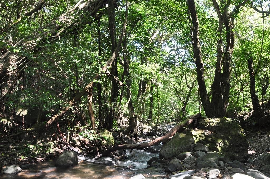 Mamallena Eco Lodge La Laguna de San Carlos Εξωτερικό φωτογραφία